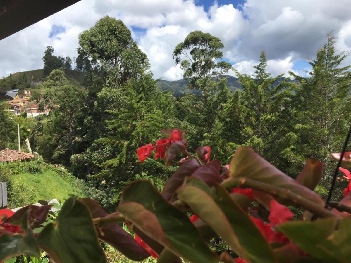 Buena Vista Guatape Hostel Eksteriør billede